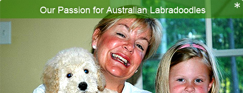 Our Passion for Australian Labradoodles