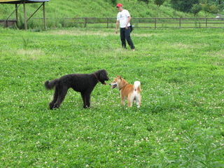 photo:First dogpark